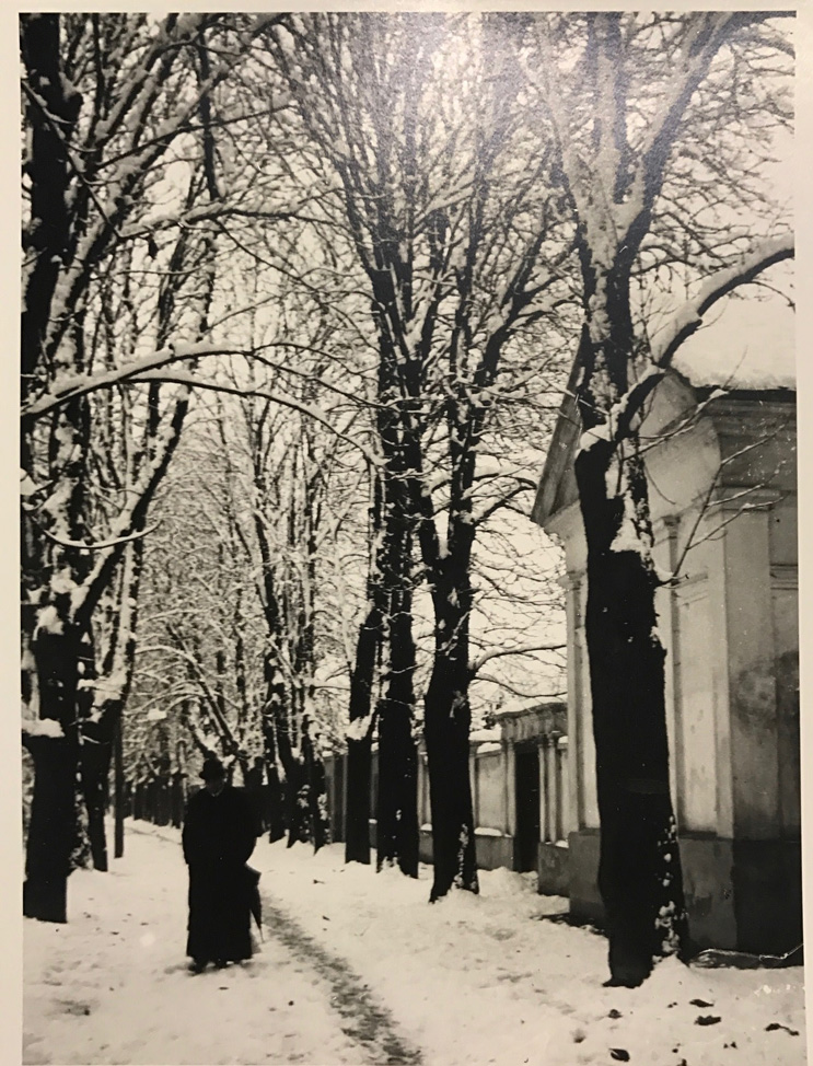 Image no. 222: Esztergom (Andre Kertesz), code=V, ord=340, date=1918
