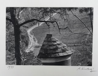 Image no. 226: Mecseknàdasd. Baranya... (Andre Kertesz), code=H, ord=290, date=1971