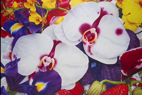 Image no. 63: Amber Gardens, 2010 (Marc Quinn), code=H, ord=10000, date=-