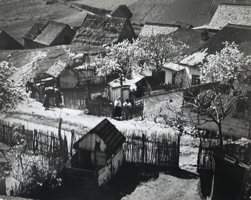 Image no. 224: Hungarian village (Andre Kertesz), code=H, ord=280, date=1919