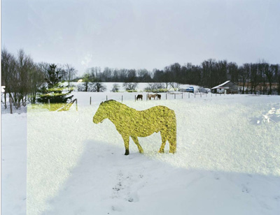 Image no. 199: Frame 63, from the Explosure... (Tierney Gearon), code=H, ord=1000, date=2008
