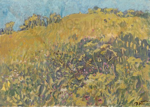 Image no. 3517: Hill Covered with Flowers (Sergei Tkachev), code=H, ord=0, date=1984