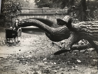 Image no. 216: Central Park (Andre Kertesz), code=H, ord=300, date=1944