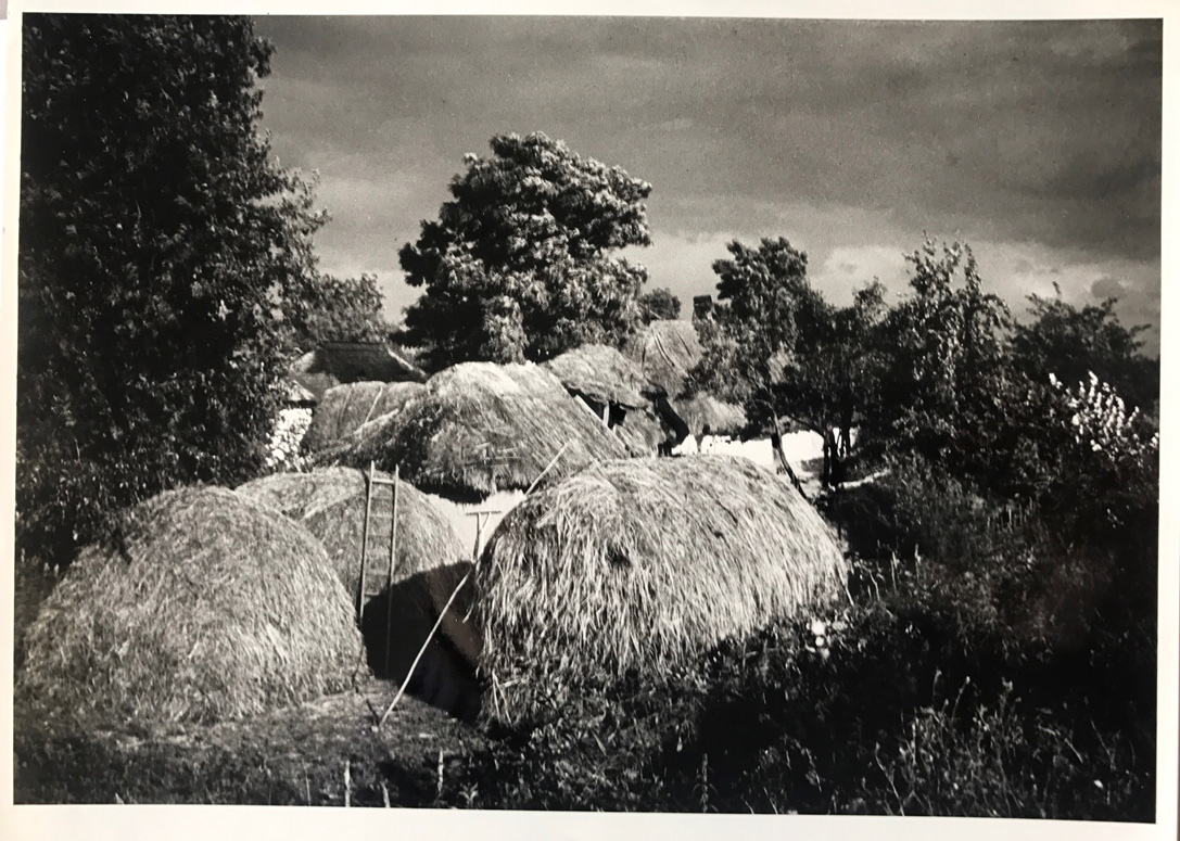 Image no. 240: Tisza-szalks (Andre Kertesz), code=H, ord=220, date=1924