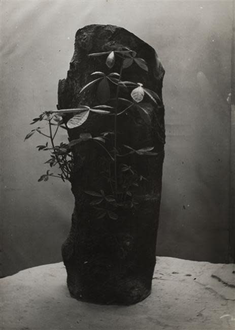 Image no. 183: Still Life - The Miracle (Constantin Brancusi), code=V, ord=37, date=1934