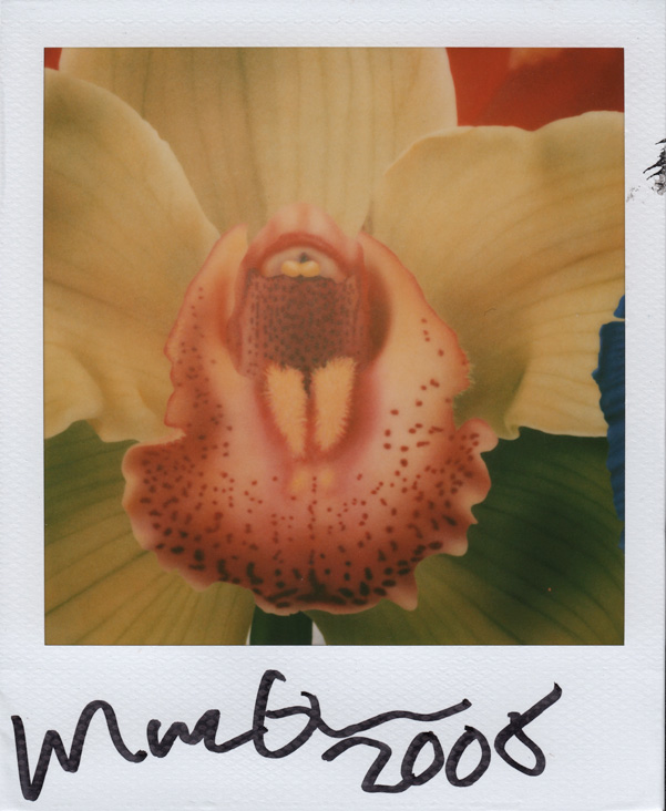 Image no. 85: Flower, 2008 (Marc Quinn), code=V, ord=10000, date=-