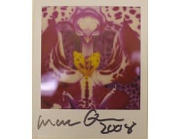 Image no. 80: Flower, 2008 (Marc Quinn), code=H, ord=10000, date=-