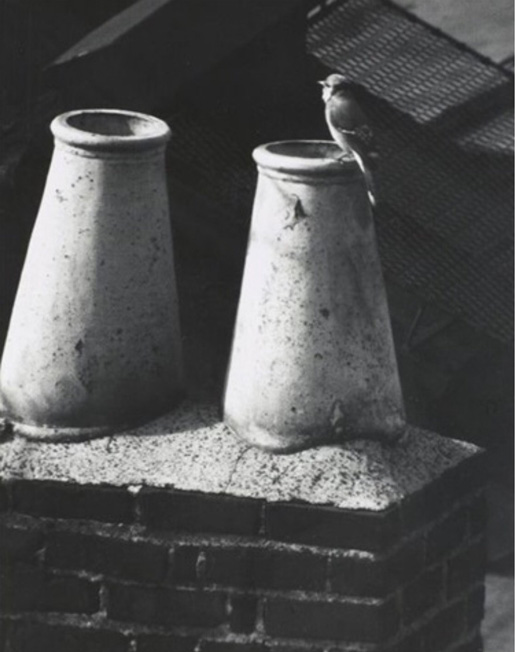 Image no. 3286: Washington Square (Andre Kertesz), code=V, ord=530, date=1961