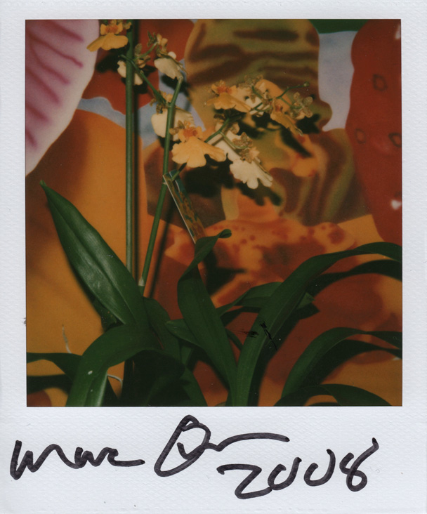 Image no. 81: Flower, 2008 (Marc Quinn), code=V, ord=10000, date=-