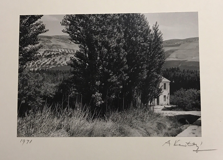 Image no. 247: Untitled (Andre Kertesz), code=H, ord=270, date=1971