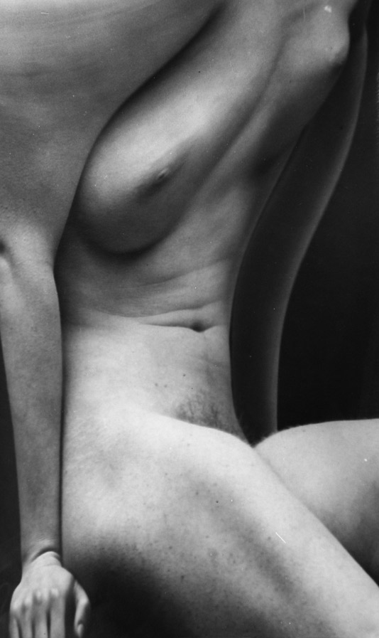 Image no. 3: Distortion 166 (Andre Kertesz), code=N, ord=80, date=1932-33