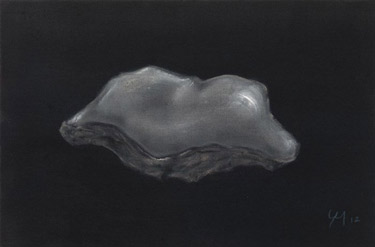 Image no. 26: Oyster Shell (Gregoire Muller), code=H, ord=1000, date=2012
