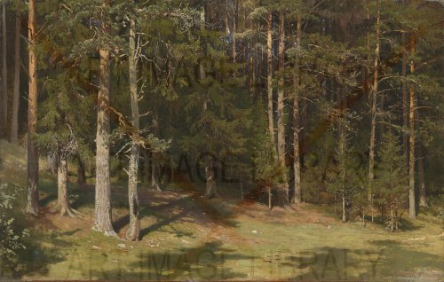 Image no. 3935: Forest Clearing (Ivan Shishkin), code=H, ord=0, date=1878