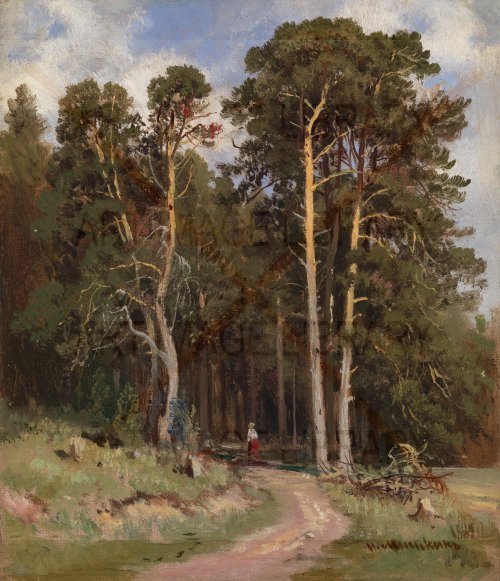Image no. 4192: Forest Path (Ivan Shishkin), code=V, ord=0, date=1882