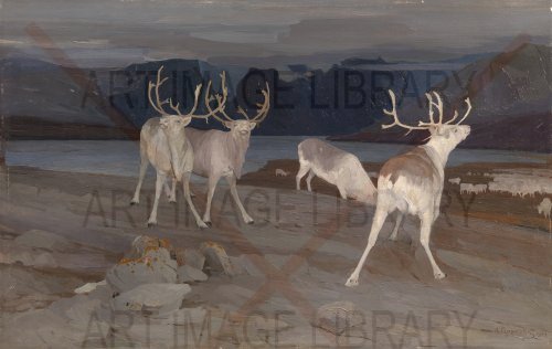 Image no. 4212: <i>Lobortis lectus  consectetur</i> (Aleksandr Borisov), code=H, ord=0, date=1904