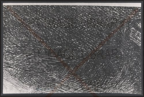 Image no. 5018: One Square Inch of a Rembr... (Barry Flanagan), code=H, ord=0, date=1970