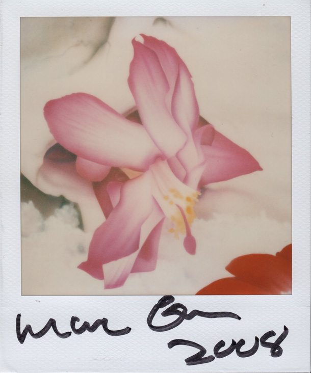 Image no. 83: Flower, 2008 (Marc Quinn), code=V, ord=10000, date=-