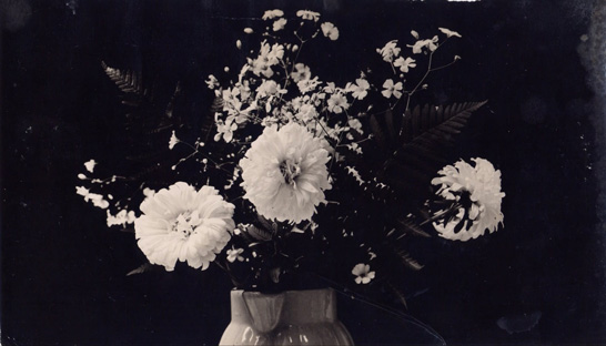 Image no. 156: Les fleurs (Constantin Brancusi), code=P, ord=38, date=c. 1930