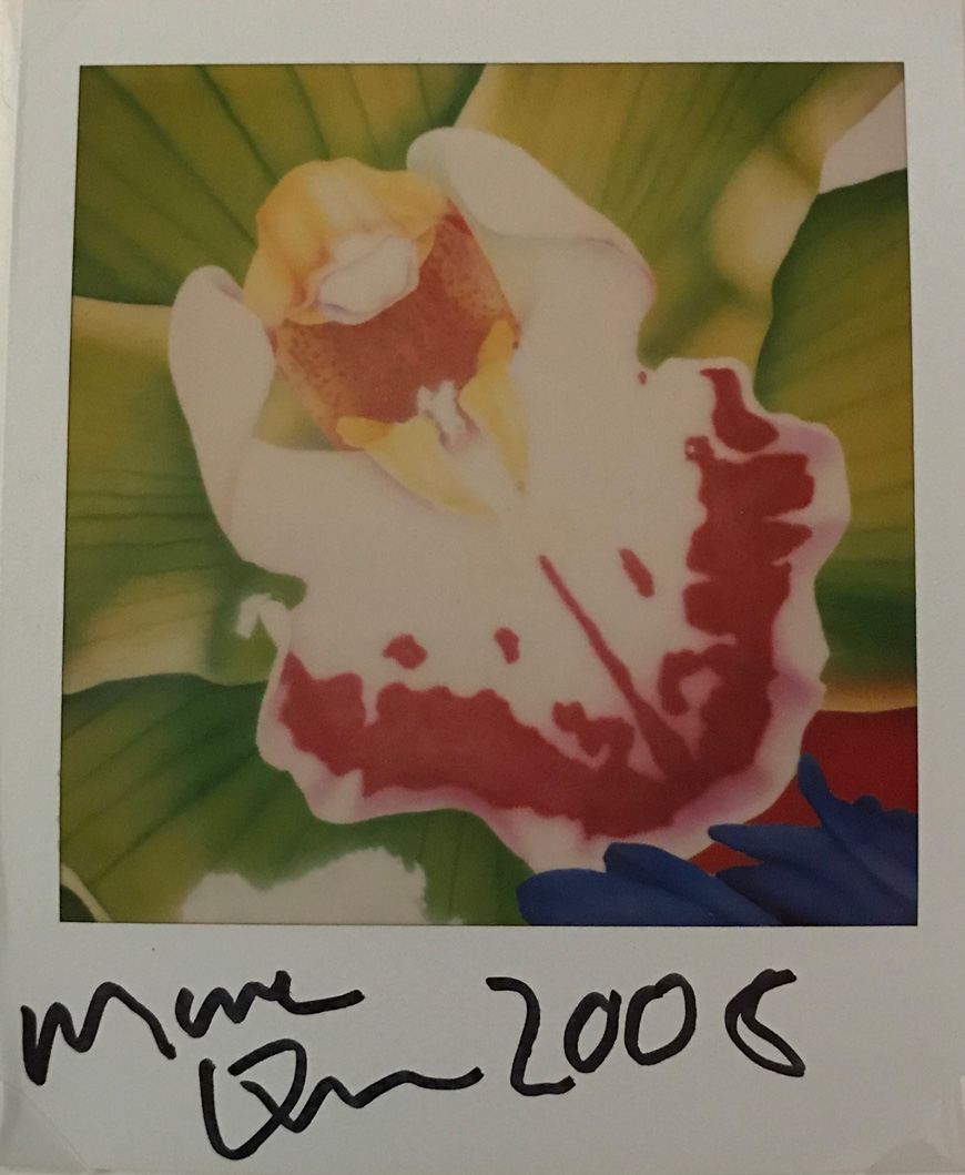 Image no. 78: Flower, 2008 (Marc Quinn), code=V, ord=10000, date=-