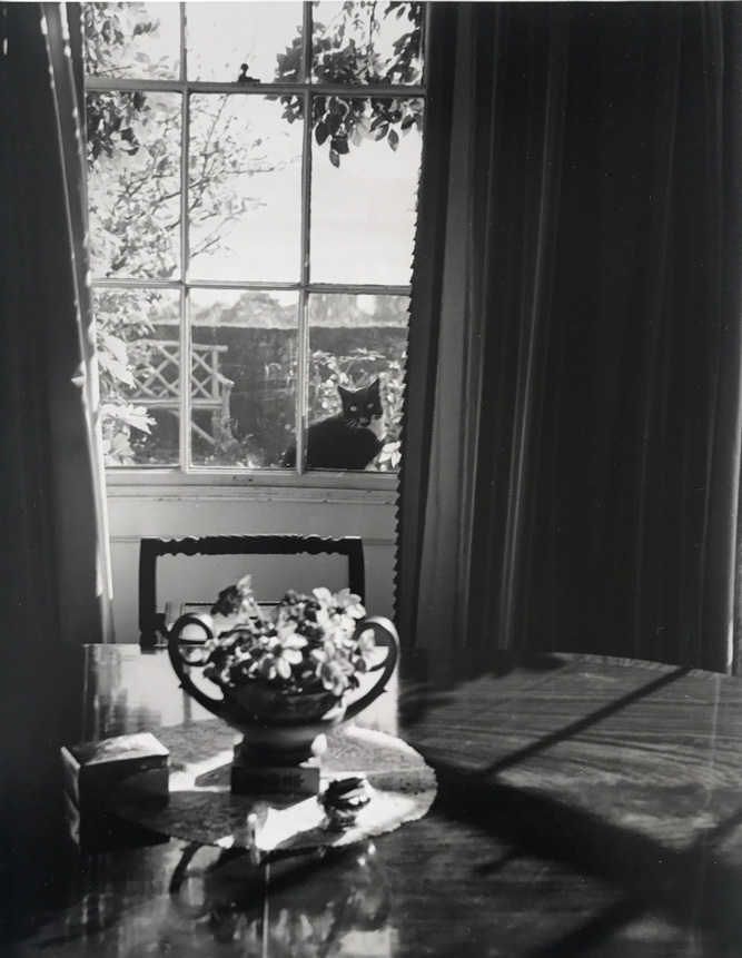 Image no. 227: Michael Redgrave (Andre Kertesz), code=V, ord=500, date=1948